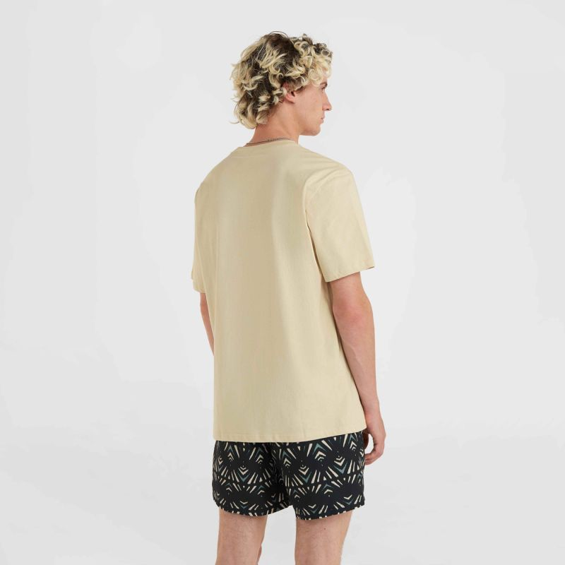 81619052