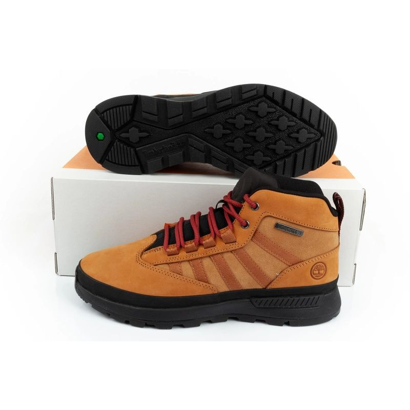 81541682