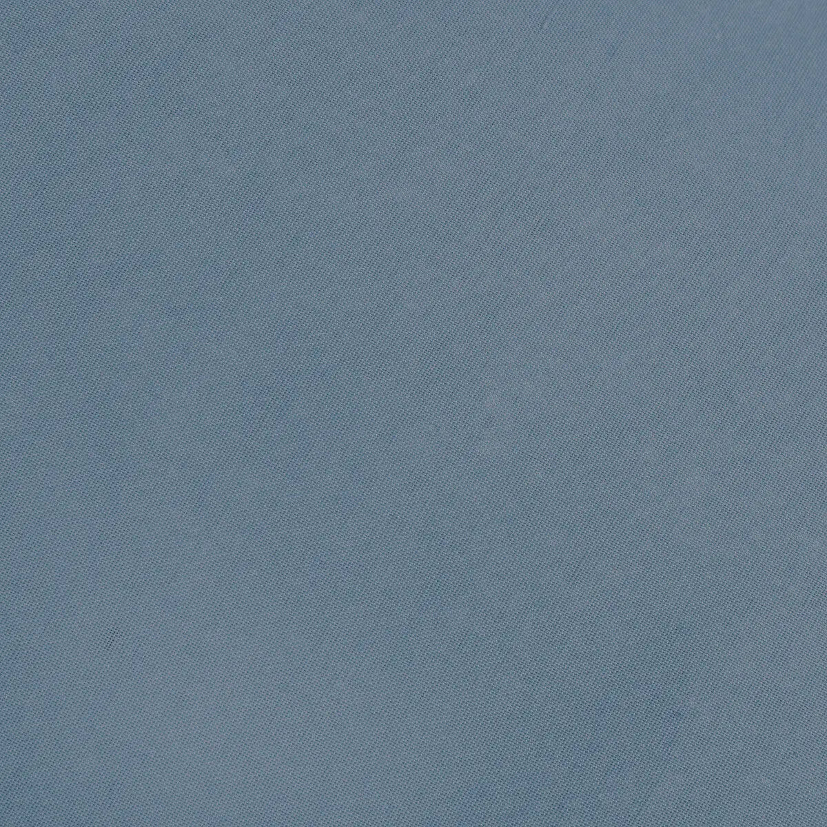 81565545