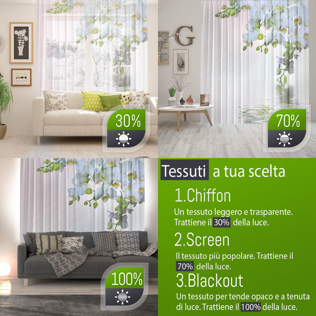 81557546