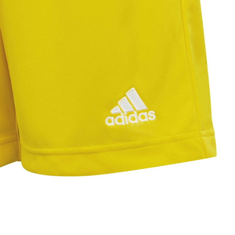 81543077
