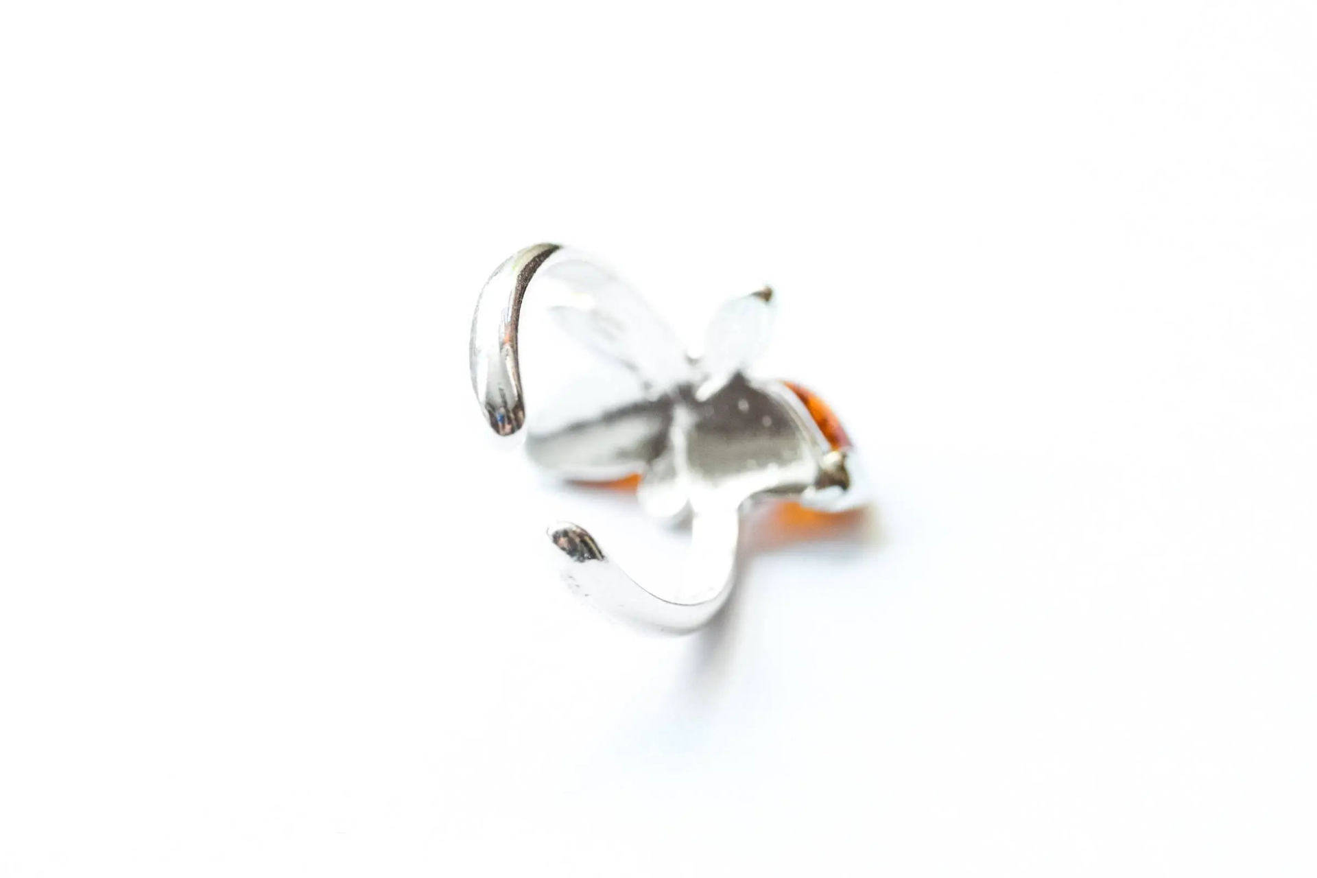 81537674