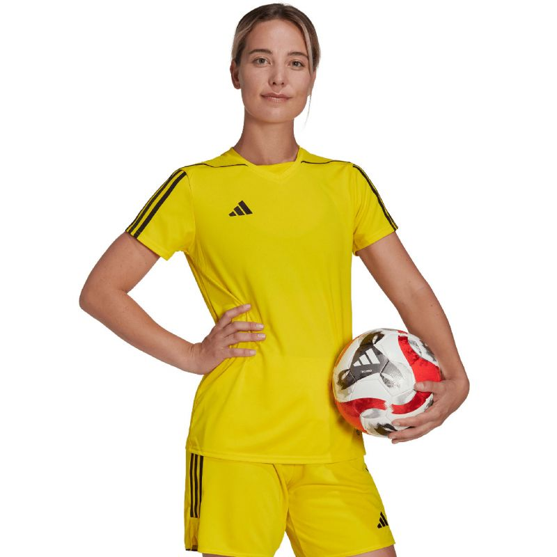 81620654