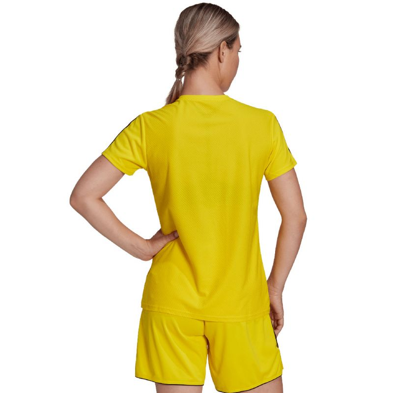 81620655
