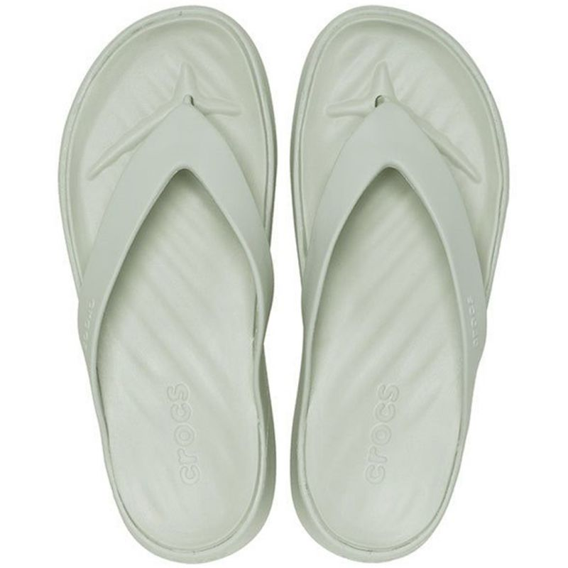 81555523
