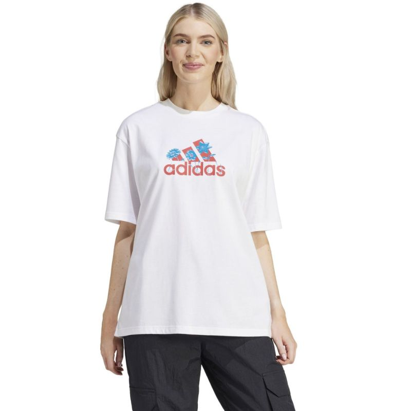81543304