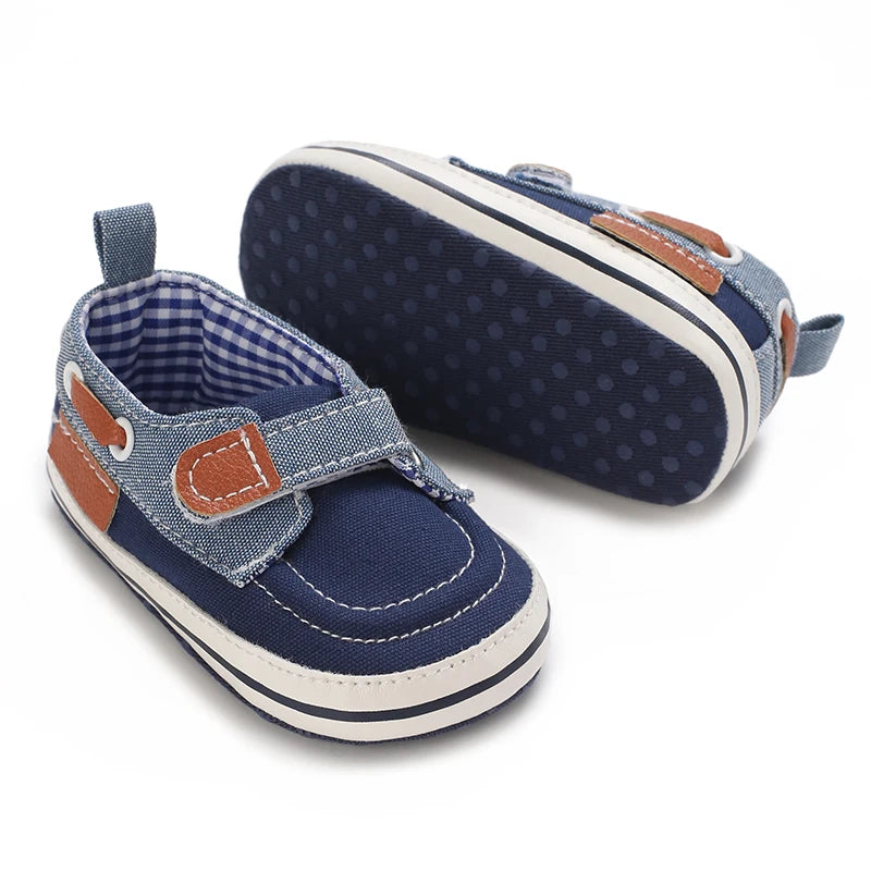 81567919