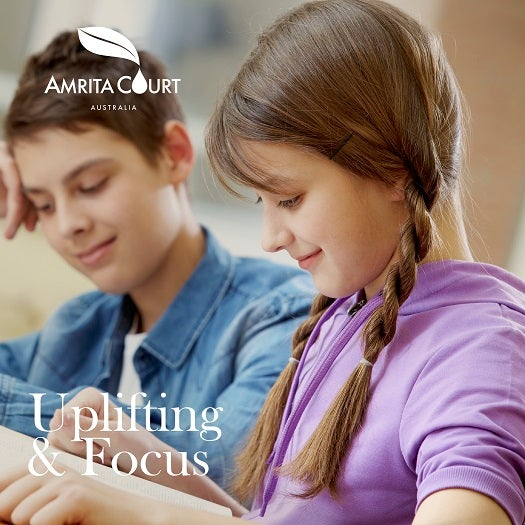 81557133