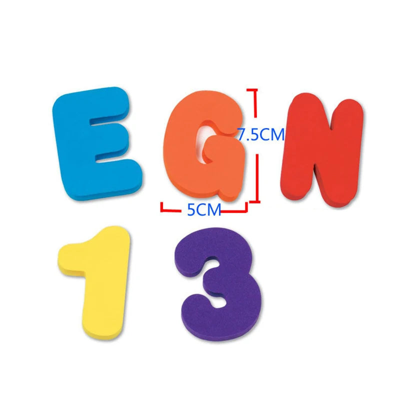 81565976