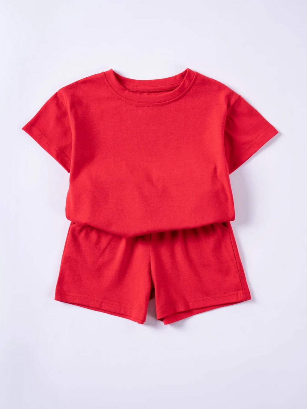 81566058