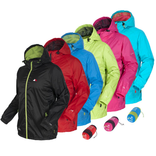 81546238