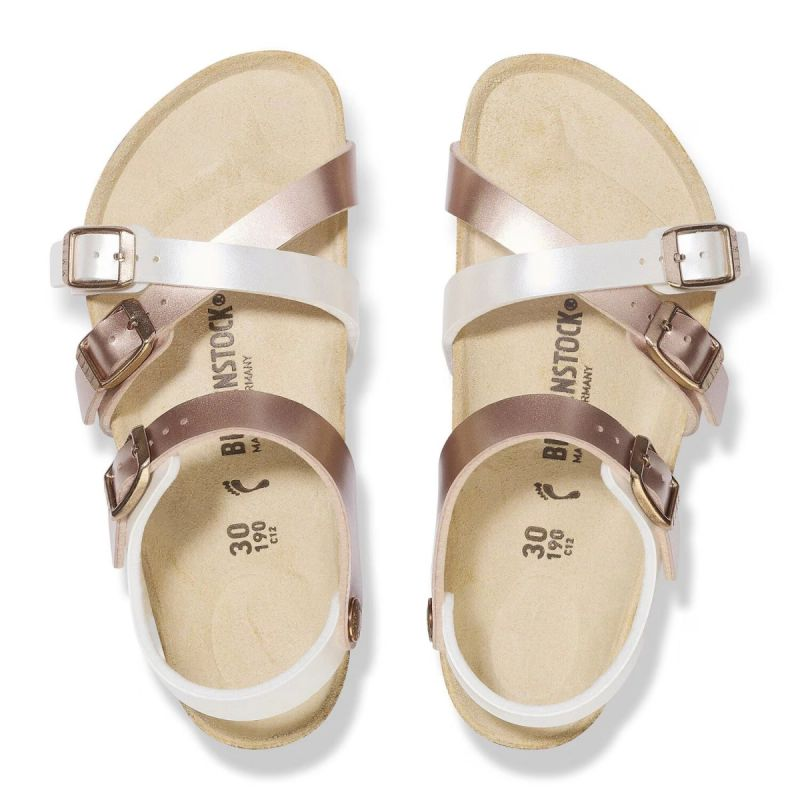 81619549